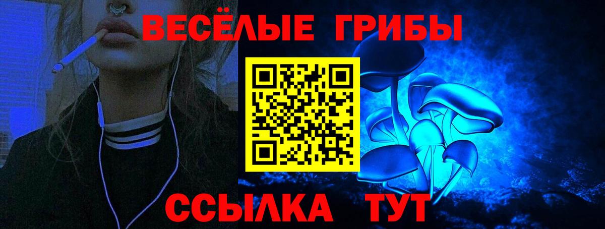 ГАШ Прохладный